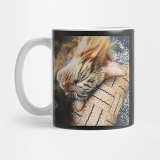 Sleepy kitty Mug